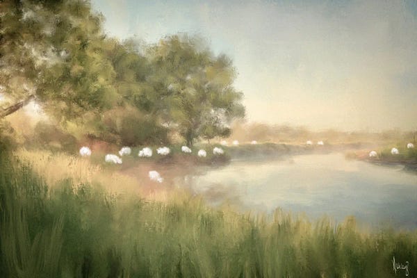 Sheep: Fields Of Grace by Ashley Bradley