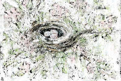 Spring Bird Nest by Ashley Bradley art print