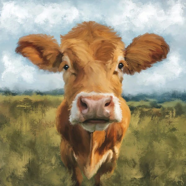 Animal Lover: Cow Close Up by Ashley Bradley