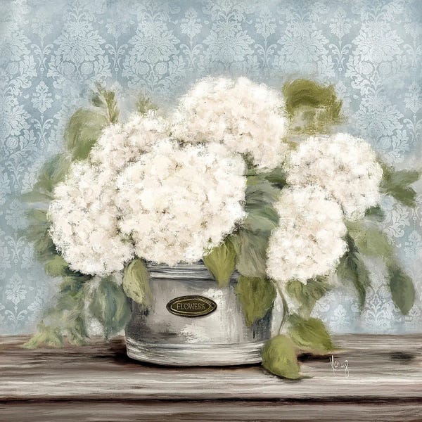 Ashley Bradley: White Hydrangeas by Ashley Bradley