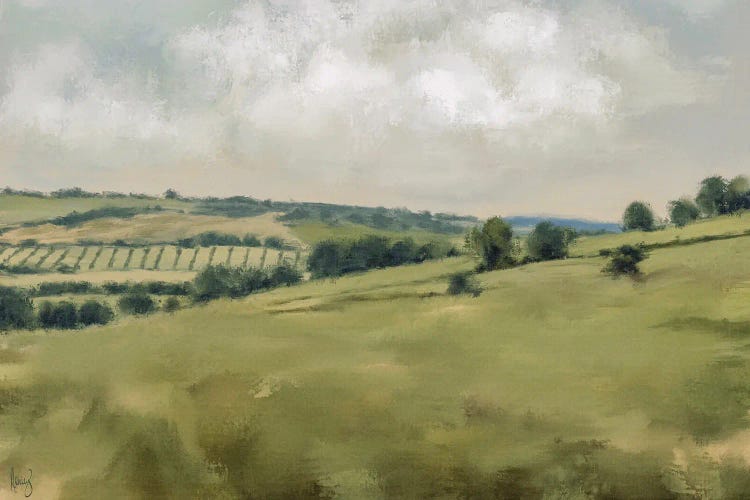 Rural Views