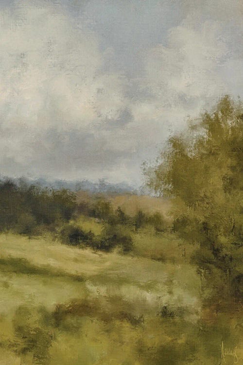 Summer Prairie