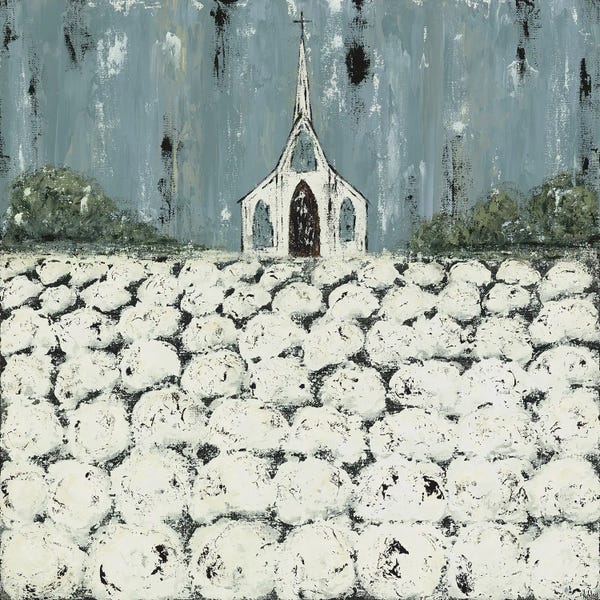 Places Of Worship: Church Cotton Fields by Ashley Bradley