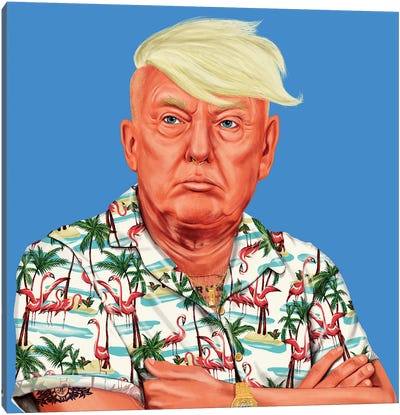 Donald Trump Canvas Art Print - Television & Movie Art