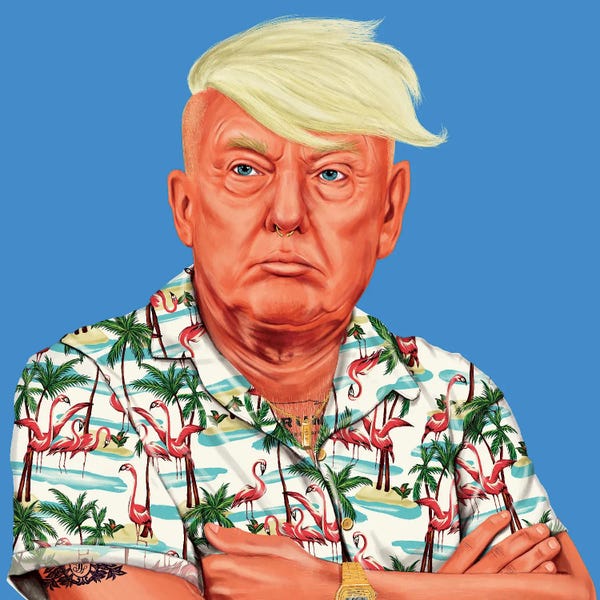 Satirical Humor: Donald Trump by Amit Shimoni