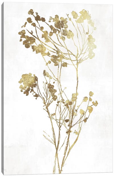 Gold Botanical II Canvas Art Print - Black, White & Gold Art