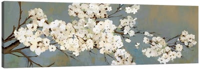 Kimono III Canvas Art Print - Spring Art