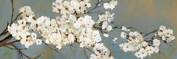 Spring: Kimono III by Asia Jensen