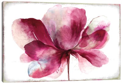 Lilya I Canvas Art Print - Pink Art