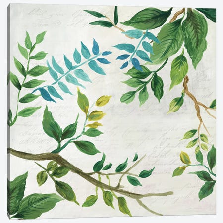 Lush Leaves Canvas Print #ASJ180} by Asia Jensen Art Print