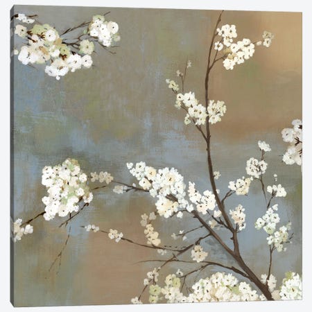 Ode To Spring I Canvas Print #ASJ199} by Asia Jensen Canvas Art