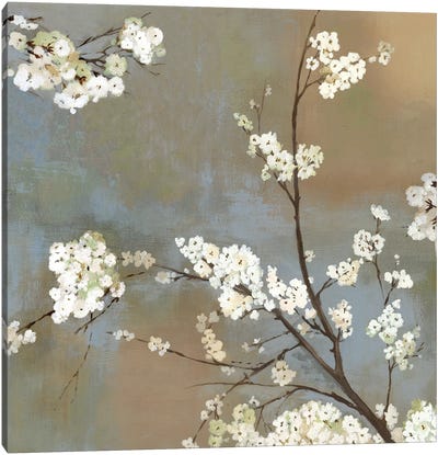 Ode To Spring I Canvas Art Print - Asia Jensen