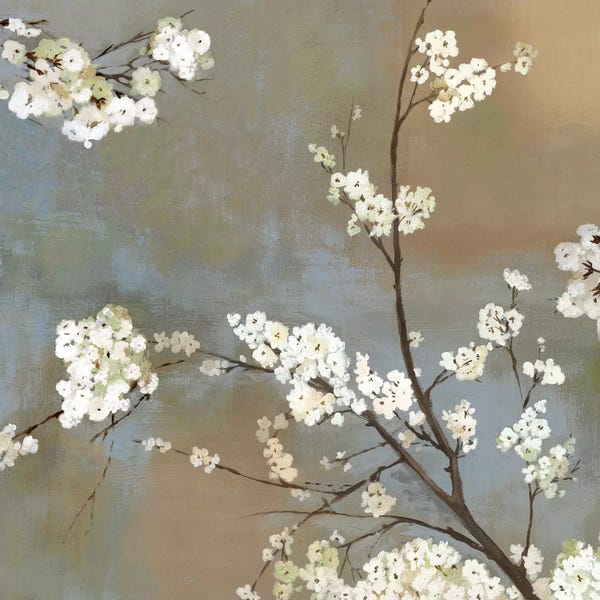Cherry Trees: Ode To Spring I by Asia Jensen
