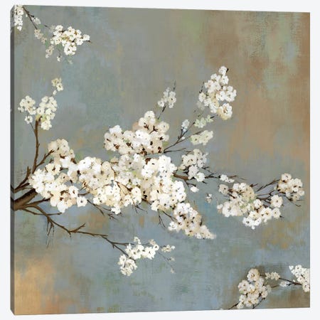 Ode To Spring II Canvas Print #ASJ200} by Asia Jensen Canvas Art