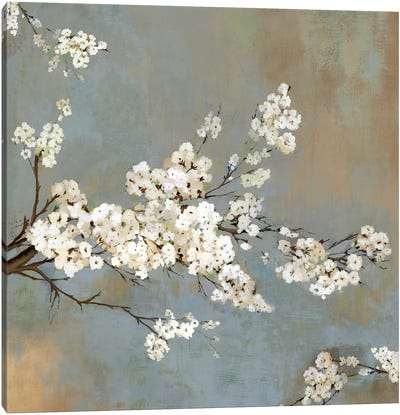 Ode To Spring II Canvas Art Print - Cherry Tree Art