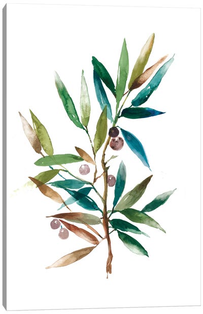 Olive Branch II Canvas Art Print - Italian Cuisine Art