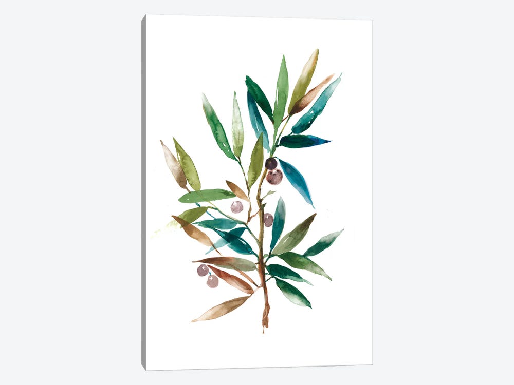 Olive Branch II by Asia Jensen 1-piece Canvas Wall Art