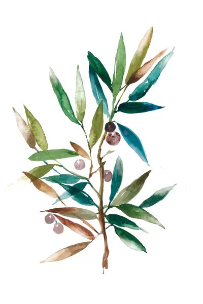 Olive Trees: Olive Branch II by Asia Jensen