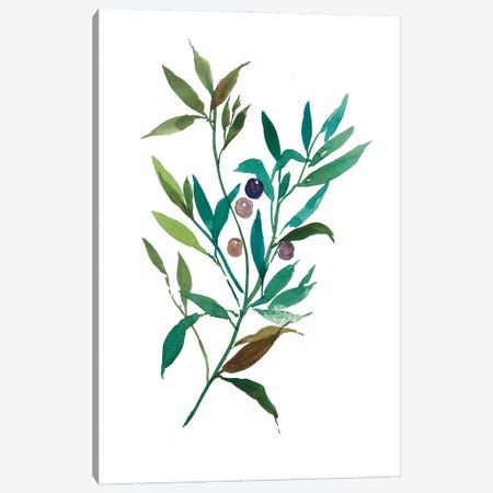 Olive I Canvas Print #ASJ203} by Asia Jensen Canvas Wall Art