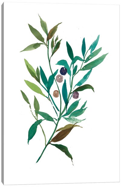 Olive I Canvas Art Print - Italian Cuisine Art