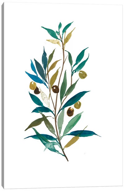 Olive II Canvas Art Print - Martini Olive