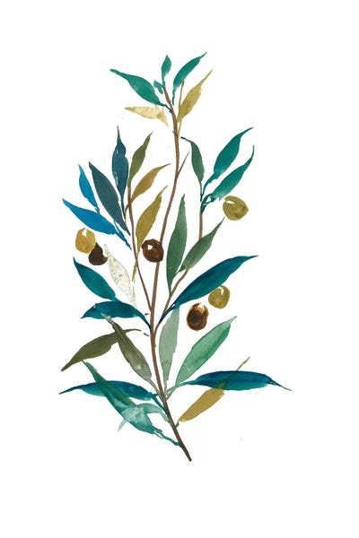 Mediterranean Décor: Olive II by Asia Jensen