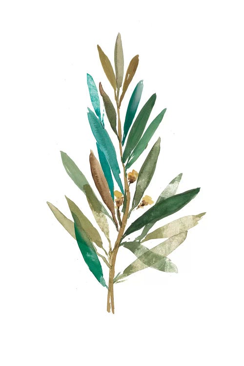 Olive III by Asia Jensen wall art