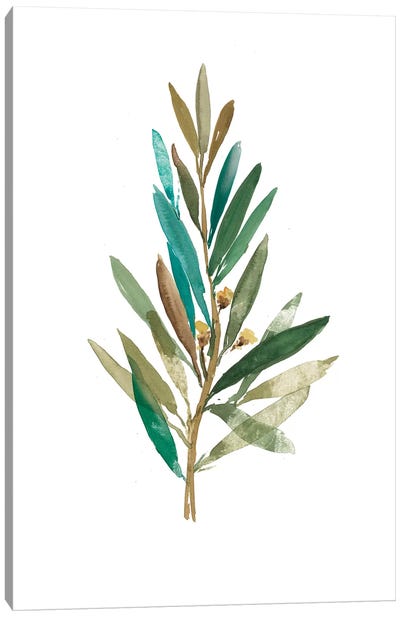 Olive III Canvas Art Print - Pantone Trending  Fall Colors 2018