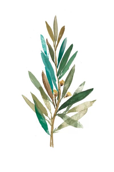 Olive Trees: Olive III by Asia Jensen