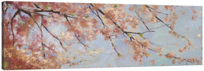 Osaka Blossoms II Canvas Art Print - Cherry Tree Art