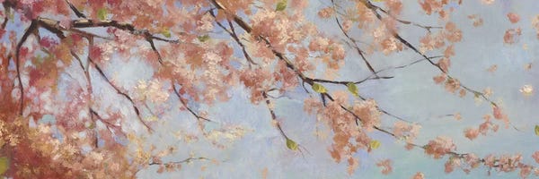 Japan: Osaka Blossoms II by Asia Jensen