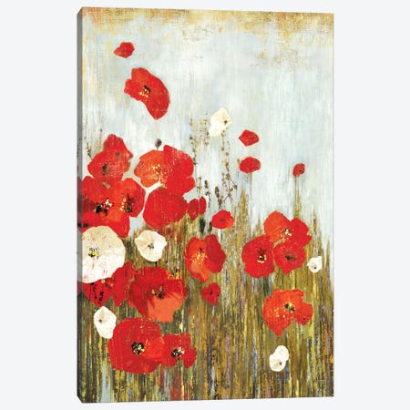 Poppies In The Wind Canvas Print #ASJ234} by Asia Jensen Canvas Artwork