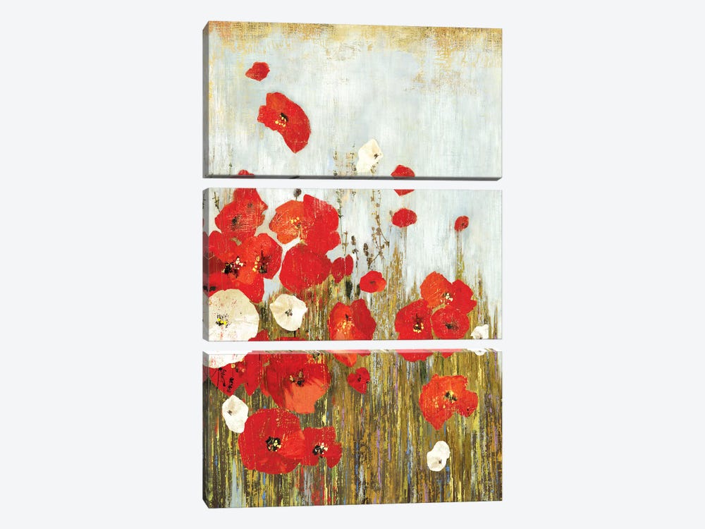 Poppies In The Wind by Asia Jensen 3-piece Art Print