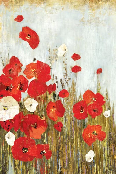Wildflowers: Poppies In The Wind by Asia Jensen
