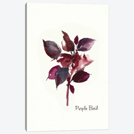Purple Basil Canvas Print #ASJ239} by Asia Jensen Canvas Art Print