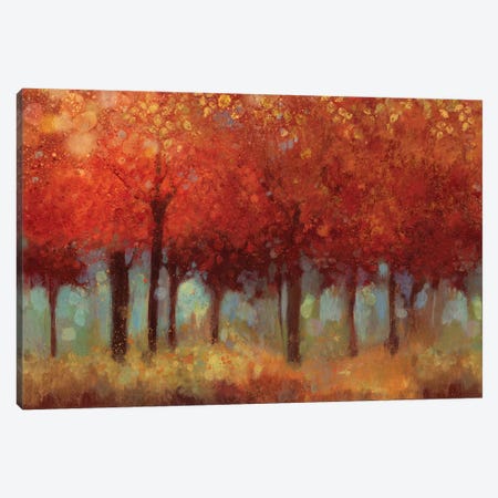 Red Forest Canvas Print #ASJ245} by Asia Jensen Canvas Print