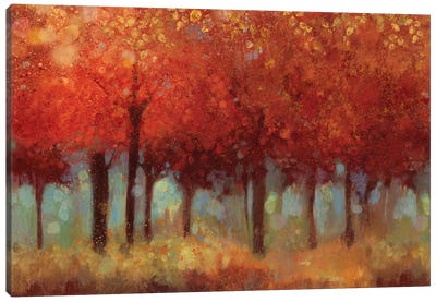 Red Forest Canvas Art Print - Asia Jensen
