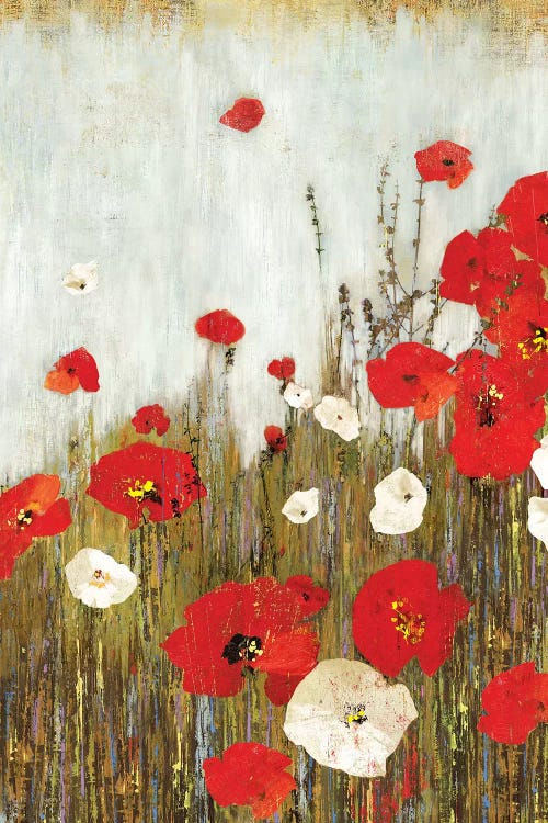 Scarlet Poppies by Asia Jensen wall art