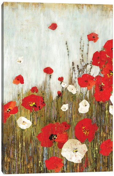 Scarlet Poppies Canvas Art Print - Asia Jensen