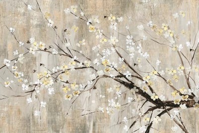 Silver Apple Blooms by Asia Jensen canvas print