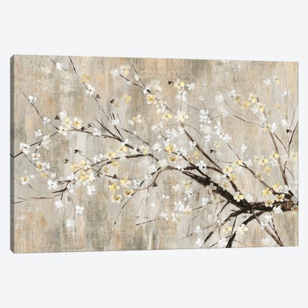 Silver Apple Blooms Canvas Print #ASJ258} by Asia Jensen Canvas Print