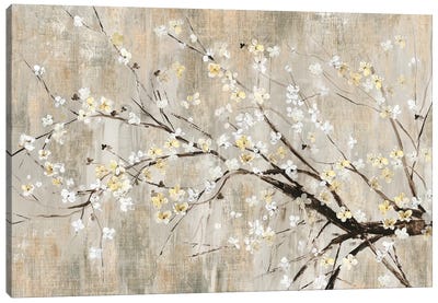 Silver Apple Blooms Canvas Art Print - Asia Jensen