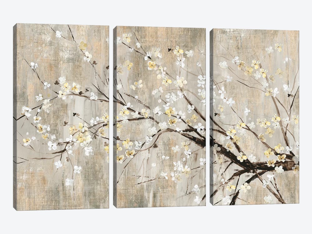 Silver Apple Blooms by Asia Jensen 3-piece Canvas Art Print