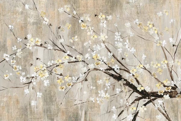 Asia Jensen: Silver Apple Blooms by Asia Jensen