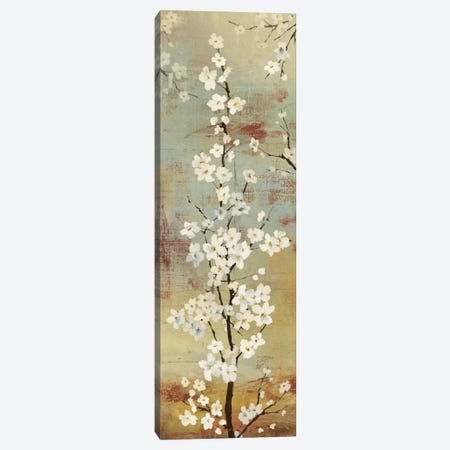 Blossom Canopy II Canvas Print #ASJ26} by Asia Jensen Art Print