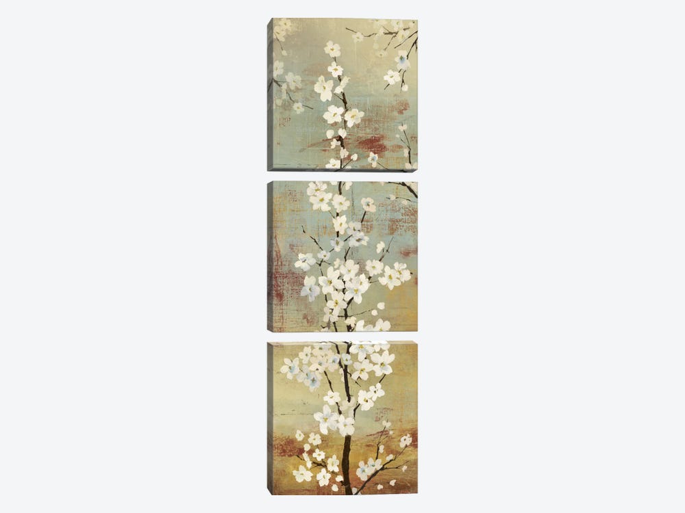 Blossom Canopy II by Asia Jensen 3-piece Canvas Wall Art