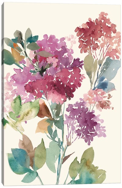 Sweet Hydrangea I Canvas Art Print - Hydrangea Art