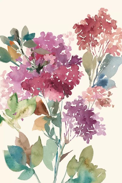 Watercolor Flowers: Sweet Hydrangea I by Asia Jensen