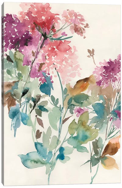 Sweet Hydrangea II Canvas Art Print - Asia Jensen