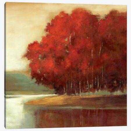 Touch Of Red Canvas Print #ASJ299} by Asia Jensen Canvas Art Print